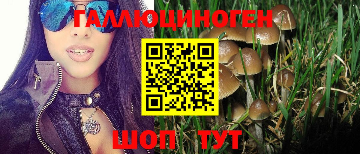 Псилоцибиновые грибы Psilocybine cubensis  Вход с VPN  Галлюциногенные грибы мицелий  Верхняя Салда 