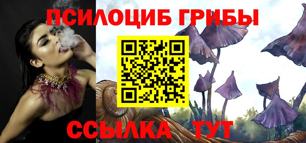 Галлюциногенные грибы GOLDEN TEACHER Верхняя Салда