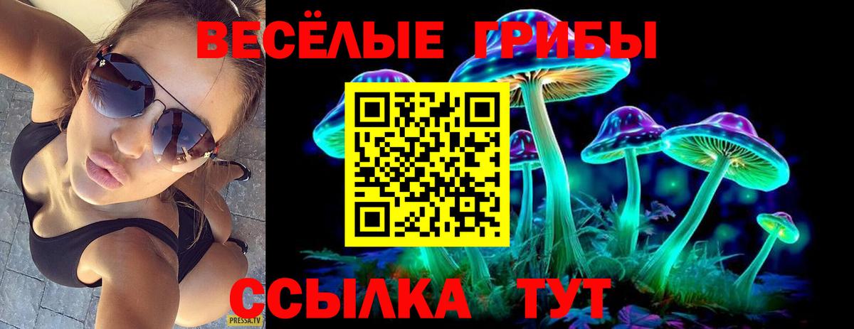 Псилоцибиновые грибы Psilocybe  закладка  Верхняя Салда 
